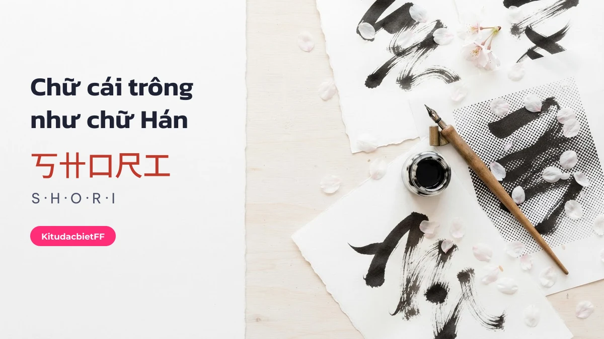 Chữ cái kiểu Trung Quốc Chữ cái Latin viết bằng chữ Hán trông giống: 丂卄口尺工