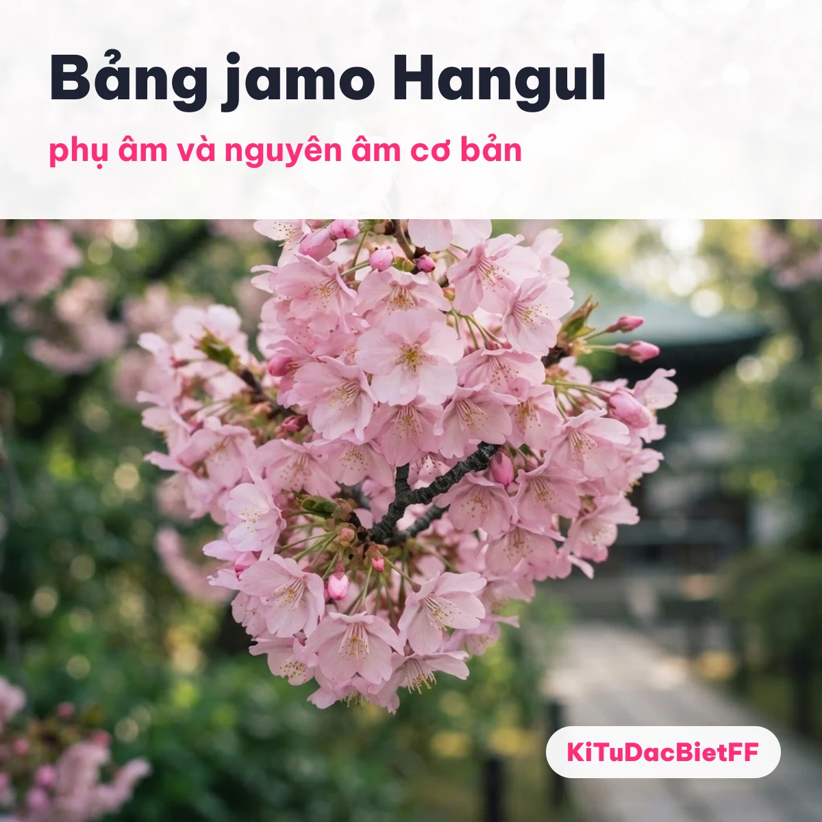 Bảng jamo Hangul cơ bản