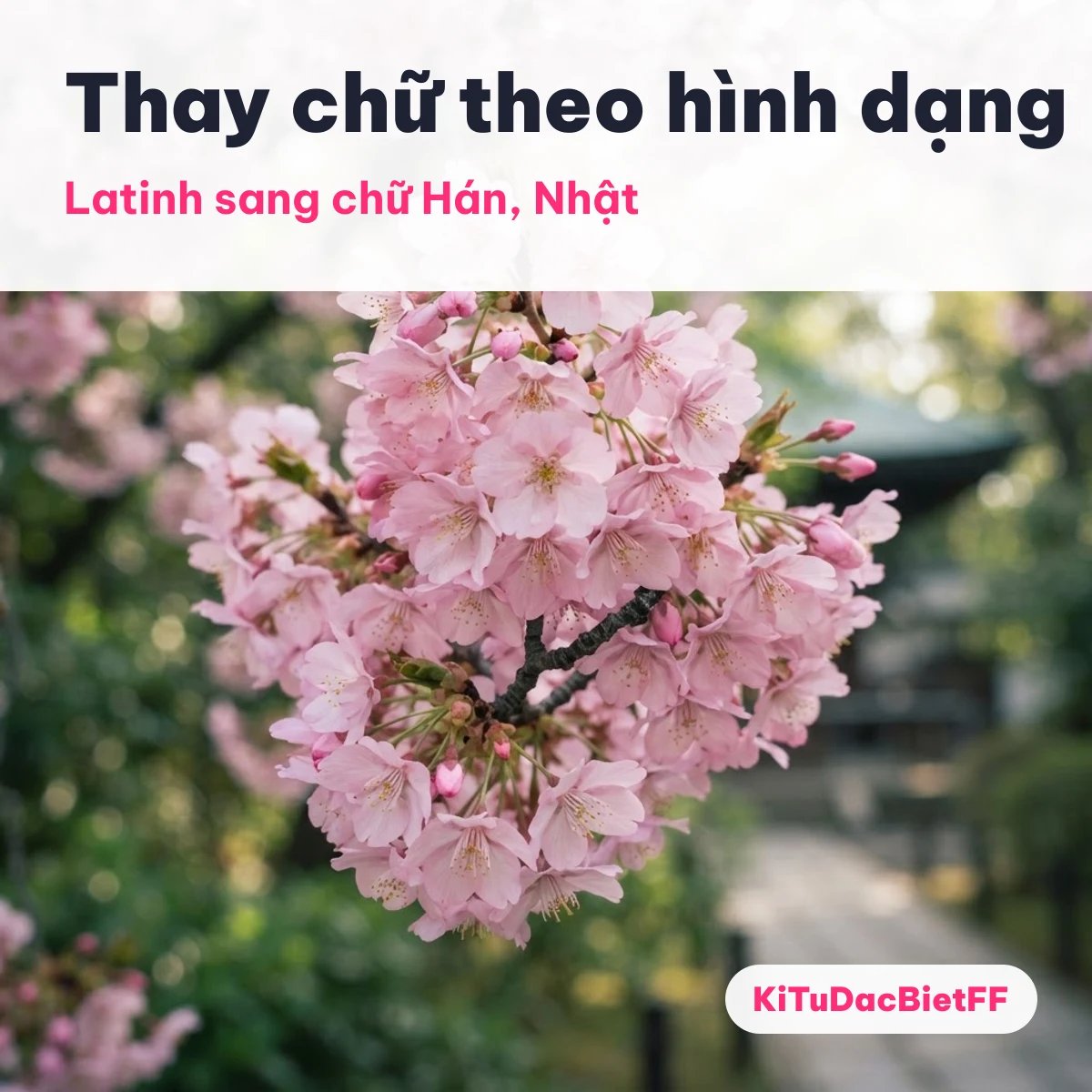 Bảng thay chữ Latinh bằng chữ giống hình dạng